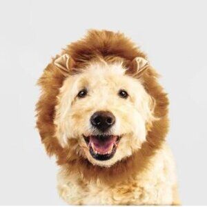 Fang-tastic NWT Pet Hat & Leg Warmer Set - Lion Costume Sz XS/S